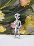 Alien resin decorative ornaments