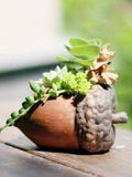 Hazelnut flower pot garden resin decorative ornaments