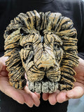 Lion resin decorative ornaments ornaments