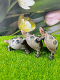 Turtle garden resin decorative ornaments