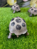 Turtle garden resin decorative ornaments