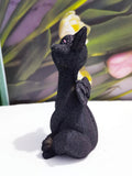 Black cat with wings Garden resin ornaments ornaments