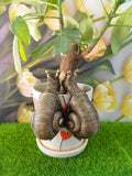 Garden snail resin ornament