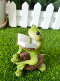 The frog sitting on the turtle reading a book