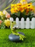 Little frog reading a book resin ornaments